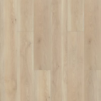 Shaw Paragon HD+ Natural Bevel Cambridge