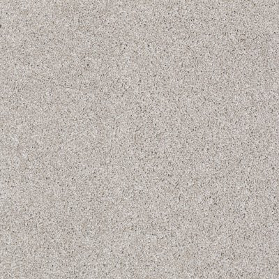 Shaw Always Ready I Studio Taupe
