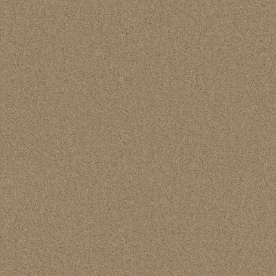 Shaw My Choice I Taffeta