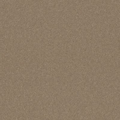 Shaw Well Played I 12' Honeycomb
