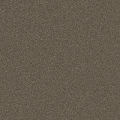 Shaw Blended Touch I Tweed