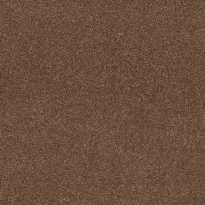 Shaw Dyersburg Classic 12' Winter Wheat