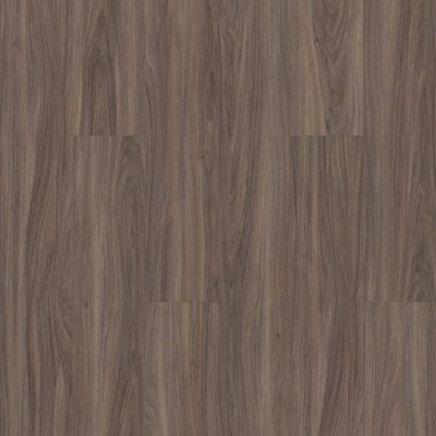 Shaw Paladin Plus Cinnamon Walnut