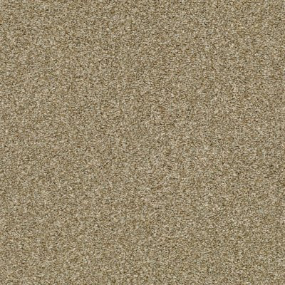 Shaw Cabana Bay Tonal Dried Clay