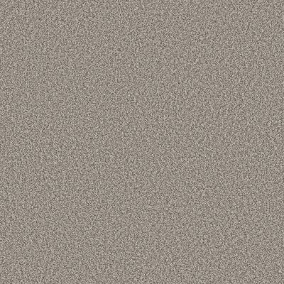 Shaw Tweed Comfort Blue Stand Out