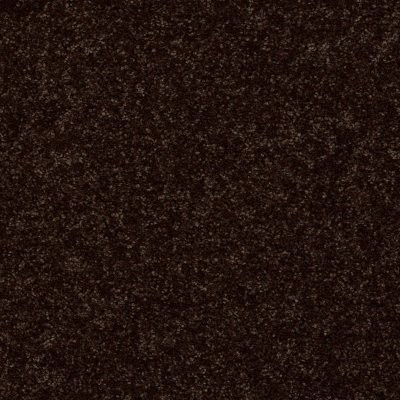 Shaw Full Court 12' Coffee Bean