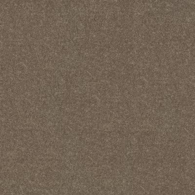 Shaw Dyersburg Classic 12' Suede