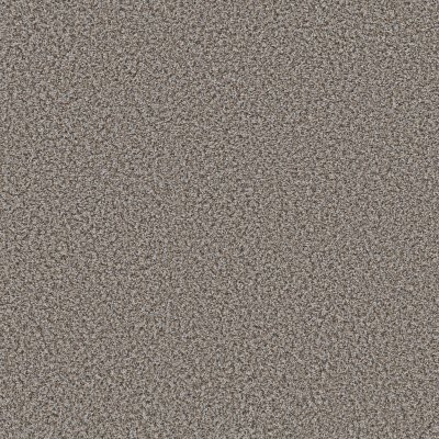 Shaw Break Away - Berber Fossil