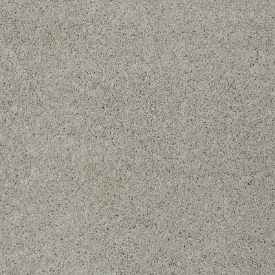Shaw My Choice III Textured Canvas