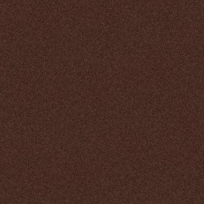 Shaw Newbern Classic 12' Coffee
