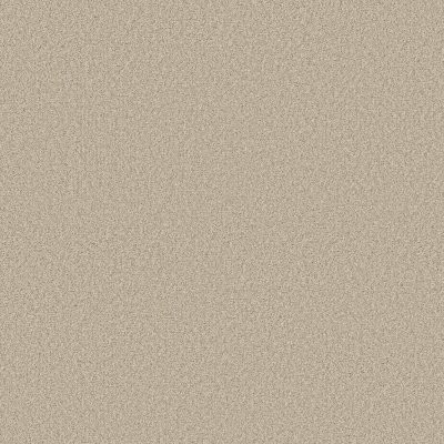 Shaw Tonal Comfort II Life Of The Party