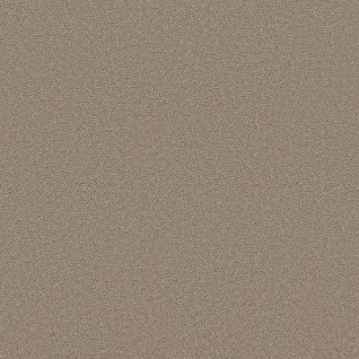 Shaw Blended Touch I Wool Blend