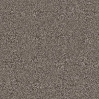Shaw Artistic Fusion I Urban Rustic