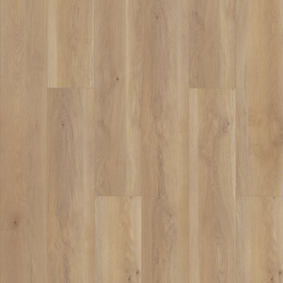 Shaw Paragon HD+ Natural Bevel Edgemont