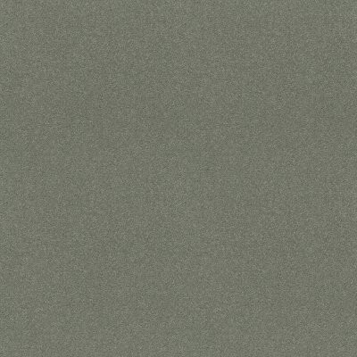 Shaw My Choice III Silver Sage
