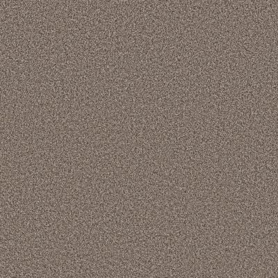 Shaw Artistic Fusion II Urban Rustic