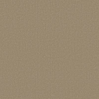 Shaw Canvas Comfort Honey Tea