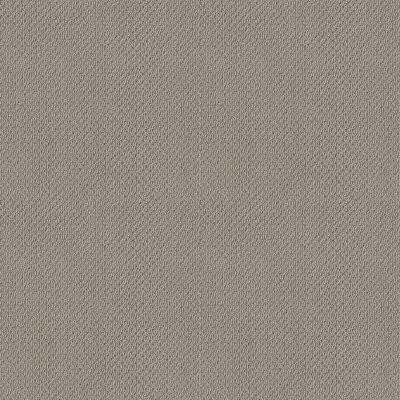 Shaw Smart Thinking Lady In Gray