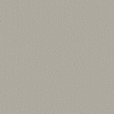 Shaw Fine Tapestry Split Sediment