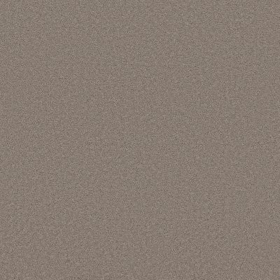 Shaw Blended Touch I Mocha