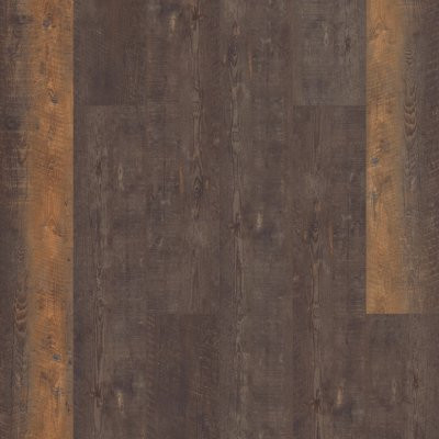 Resilient Residential Autumn Barnboar