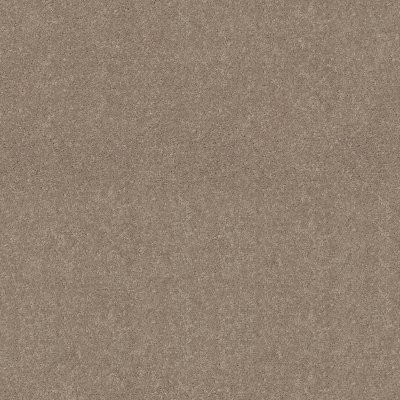 Shaw Dyersburg Classic 12' Antique Silk