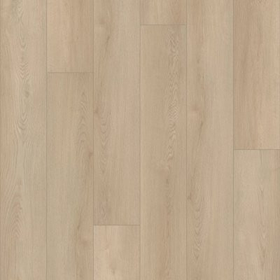 Shaw Starting Line Sunlit Beige