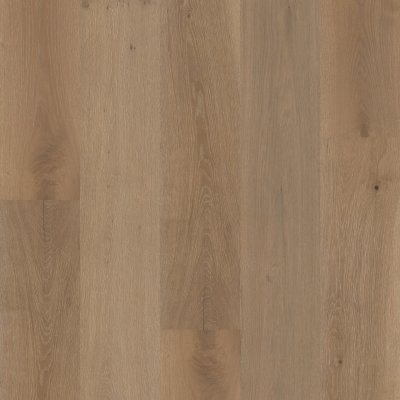 Shaw Expressions Kinetic