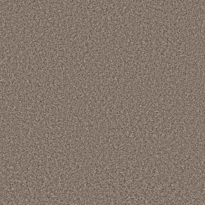 Shaw Cool Flair Tempting Taupe