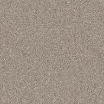 Shaw Elevated II Dawn Beige
