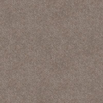 Shaw Trusolutions III Taupe Dream