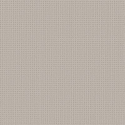 Shaw Finely Detailed Sand Dunes