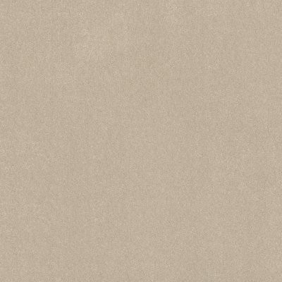 Shaw Elevated IV Cream
