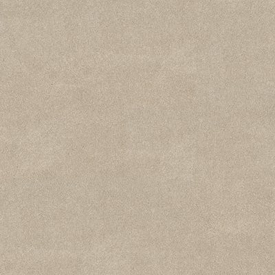 Shaw Vivid Touch I Dune View