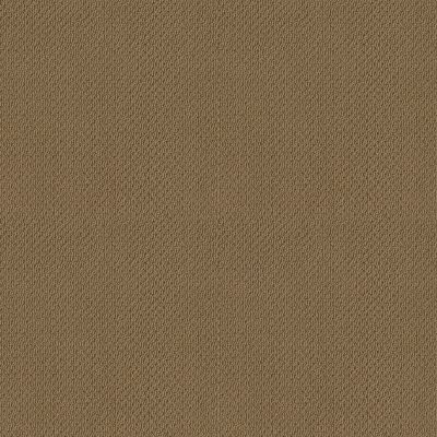 Shaw Smart Thinking Warmth