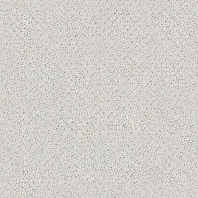 Shaw Smart Thinking Silver Charm
