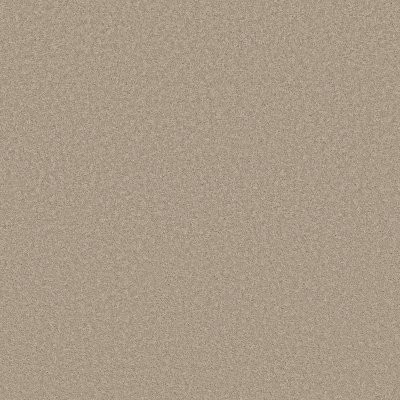 Shaw Velvet Touch I Chic Greige