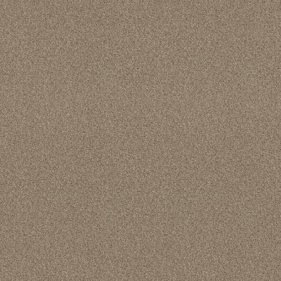 Shaw Tonal Comfort I Shoreline Haze