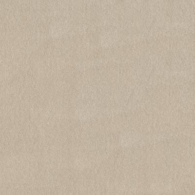 Shaw Solidify II 12' Bleached