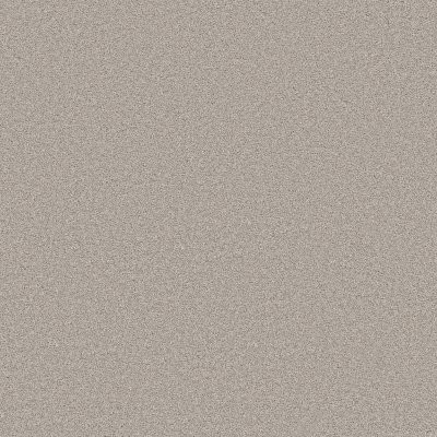 Shaw Blended Touch II Raw Silk