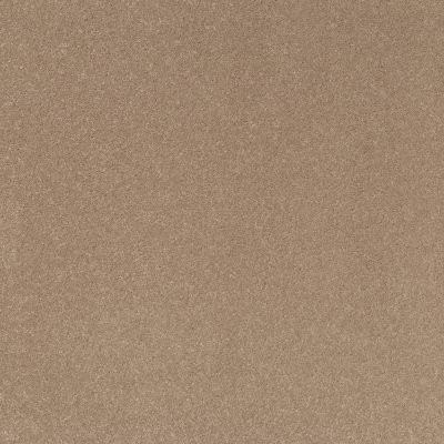 Shaw Well Played I 12' Natural Beige