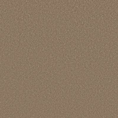 Shaw Way To Go I Polo Tan