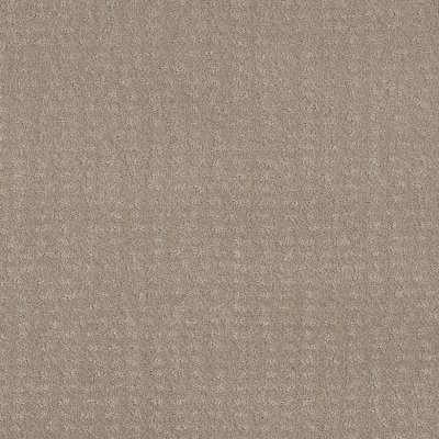 Shaw Chic Nuance Fossil Path