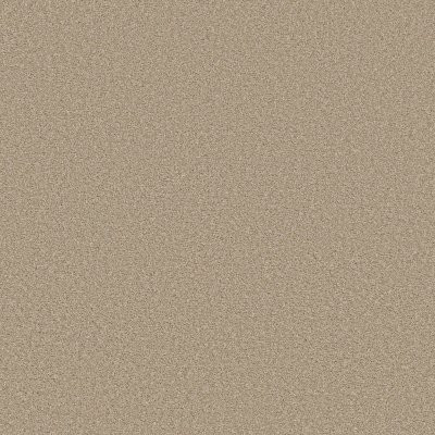 Shaw Trusolutions III Sheer Natural