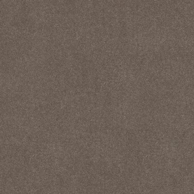 Shaw Elevated IV Pewter