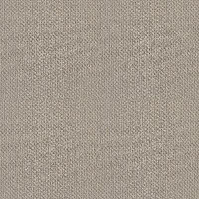 Shaw Truly Relaxed Loop Textured Canvas