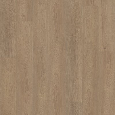 Shaw Fresh Take Wingback Brown