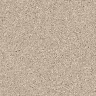 Shaw Canvas Comfort Blue Happy Place