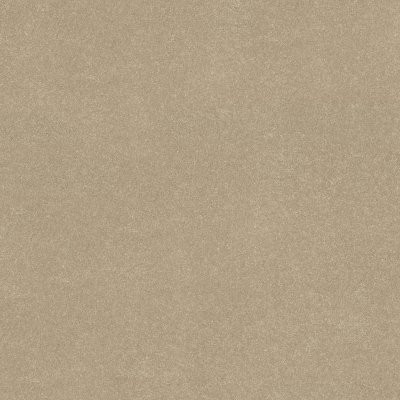 Shaw Solidify II 12' Raw Lumber