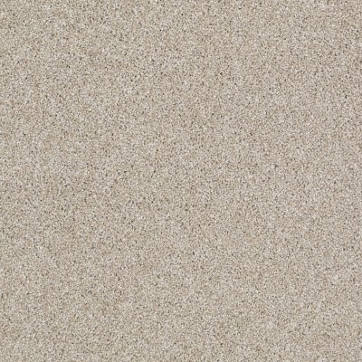 Shaw Picturesque Travertine